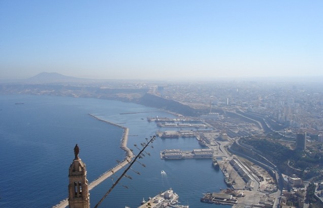 阿尔及利亚对阵南非,全神贯注追求胜利 阿尔及利亚对阵南非,全神贯注追求胜利